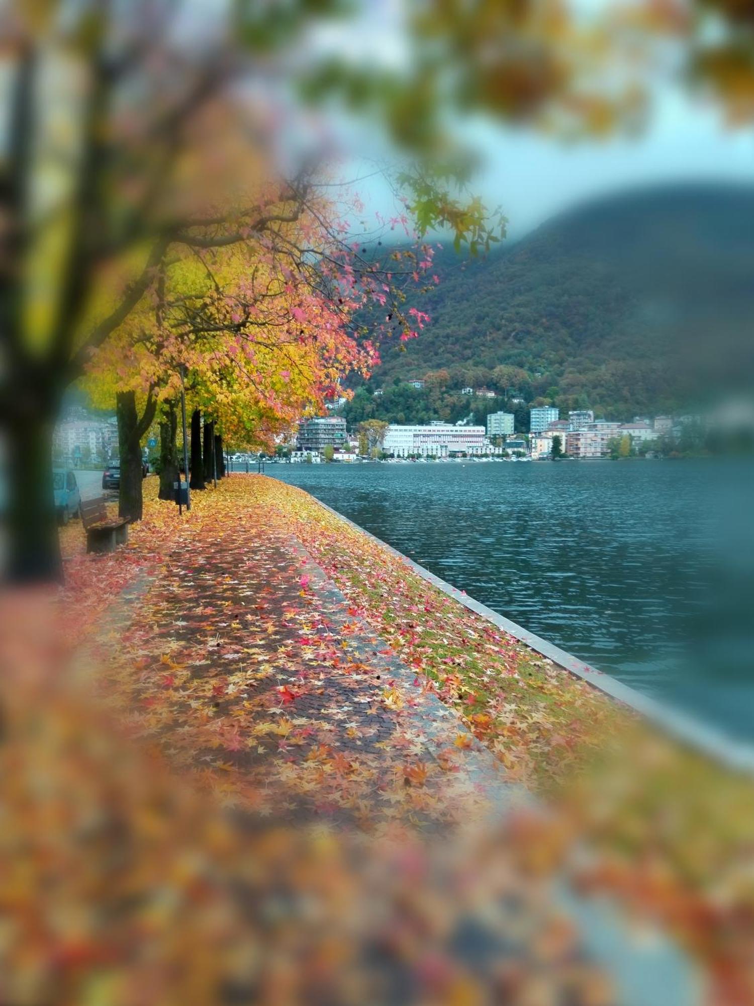 Un Balcone Sul Lago Omegna Exteriör bild