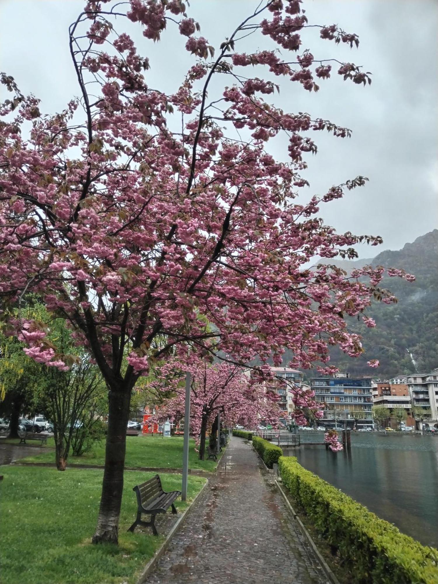 Un Balcone Sul Lago Omegna Exteriör bild