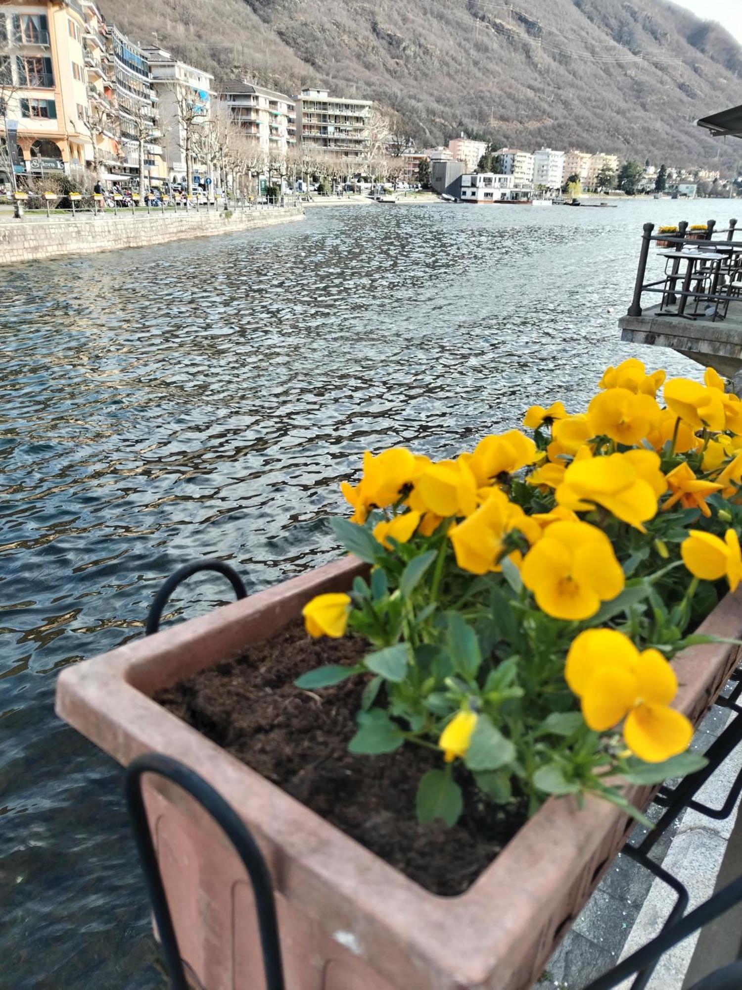 Un Balcone Sul Lago Omegna Exteriör bild